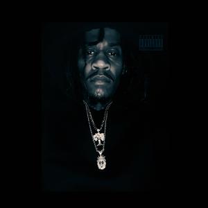 Private Life (feat. Steelz) (Explicit)