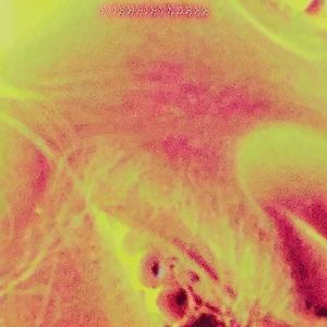THE MARIGOLD IS DEAD AND IM STILL SMOKING AMERICAN SPIRIT (Explicit)