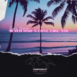 Never Had A Love Like You (Slowed Version)