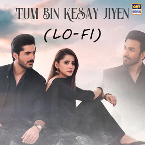 Tum Bin Keysy Jiyen (Lo-Fi)