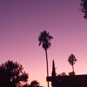 Love/Happiness/Connection (Transition version)