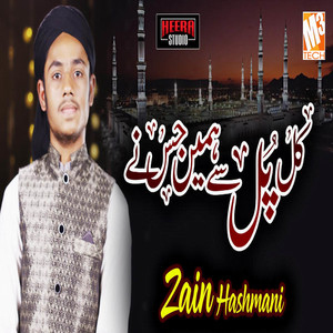 Kal Pul Se Hamein - Single