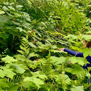 You're the Same Sound