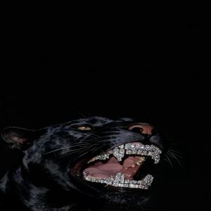 KNOCKDOWN (Explicit)