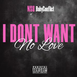 I Don't Want No Love (Explicit)