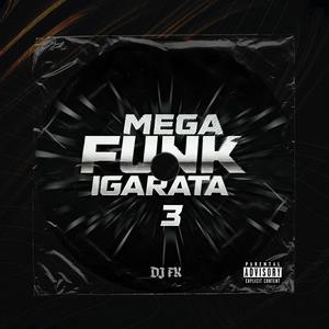 MEGA FUNK IGARATA 3 (Explicit)