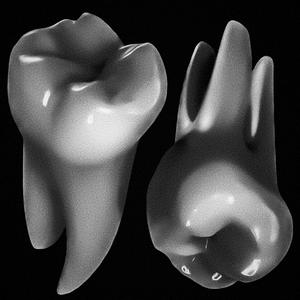 Teeth