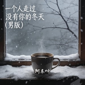 一个人走过没有你的冬天 (男版)