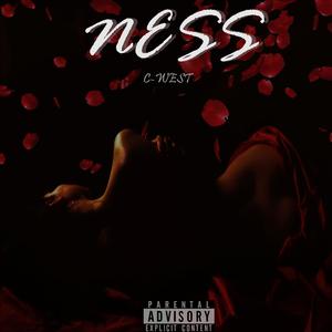 NESS (Explicit)