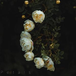 Petals (Explicit)