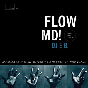 Flow MD (Explicit)