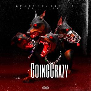 Going Crazy(feat. B.o.B Tizzle) (Unmixed|Explicit)