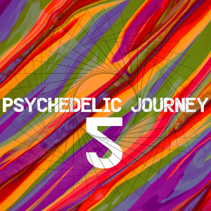 Psychedelic Journey 5