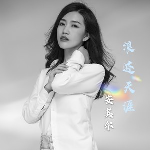 浪迹天涯 (DJ何鹏版)