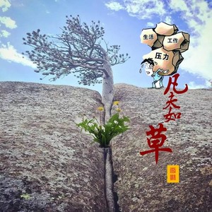 凡夫如草 (伴奏)