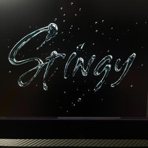 Stingy (feat. Geeijoe & Tee da P) (Radio Edit|Explicit)