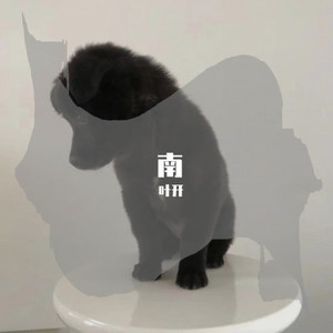 公路之歌 吉他版