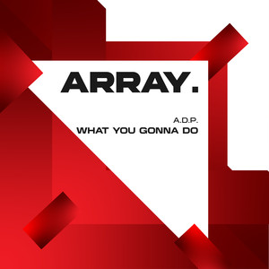 What you Gonna Do (Radio Edit)