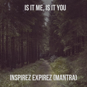 Is It Me Is It You