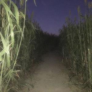 hold me (feat. crayon)