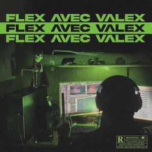 Flex ΛVec VΛlex (Explicit)