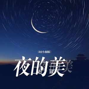 夜的美 (DJ小桐版)