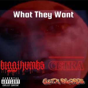 What They Want (feat. CETRA) [Explicit]