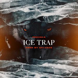 ICE TRAP