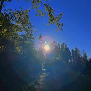 sun (feat. Hezron Chetty & Leander Greitemann) (Radio Edit)