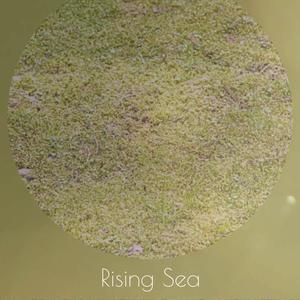 Rising Sea