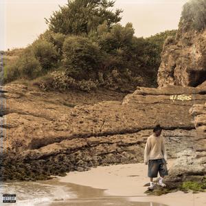 shake (feat. ariies) (Explicit)