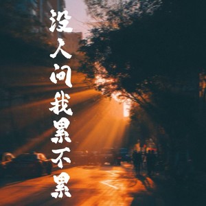 没人问我累不累