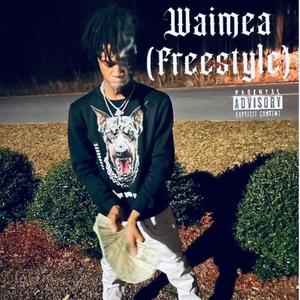 W.A.I.M.E.A (Freestyle) [Explicit]