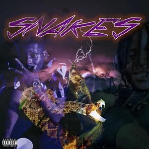 SNAKES (feat. C4) [Explicit]