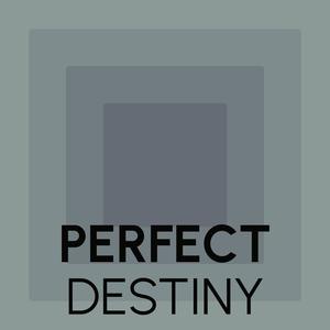 Perfect Destiny