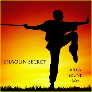 SHAOLIN SECRET