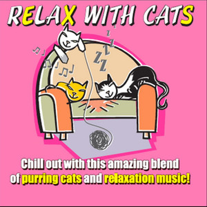 Relax With Cats