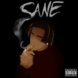 Sane (Explicit)