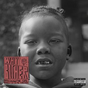 Why Bother (feat. Pink Siifu) (Explicit)