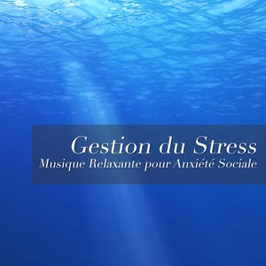 Gestion du Stress - Musique Relaxante pour Anxiété Sociale