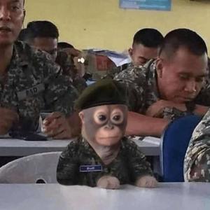 packrunnin (Explicit)