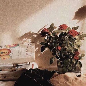 伯虎说 (纯戏腔片段)