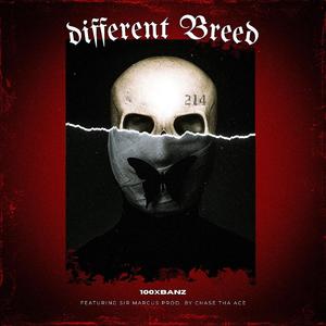 Different Breed (Explicit)