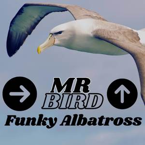 Funky Albatross