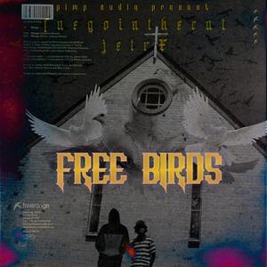 Free Birds(feat. Jetrx) (Explicit)