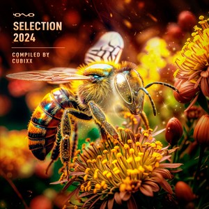 Selection 2024 (Explicit)