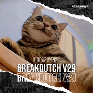 Breakducth V29