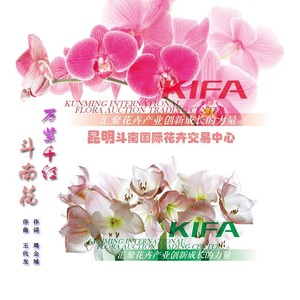 万紫千红斗南花