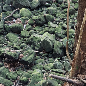 슬픈비 (feat. 이민휘)