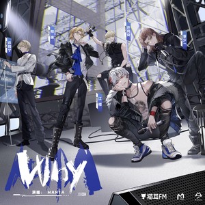 WHY封面